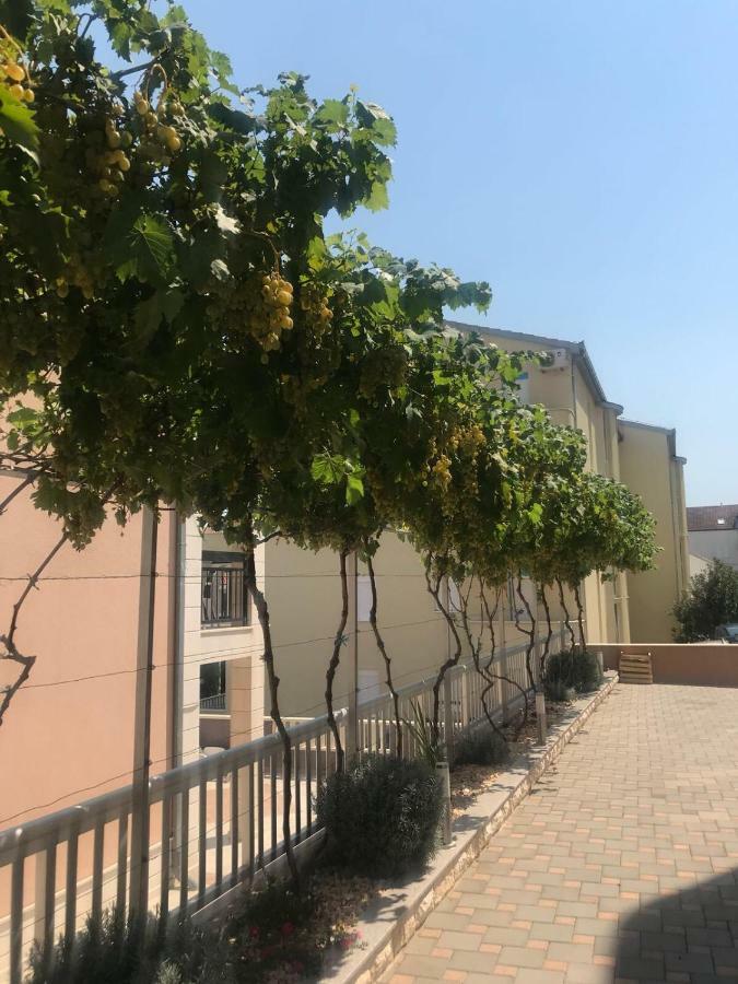 Apartments Villa Zica تروغير المظهر الخارجي الصورة