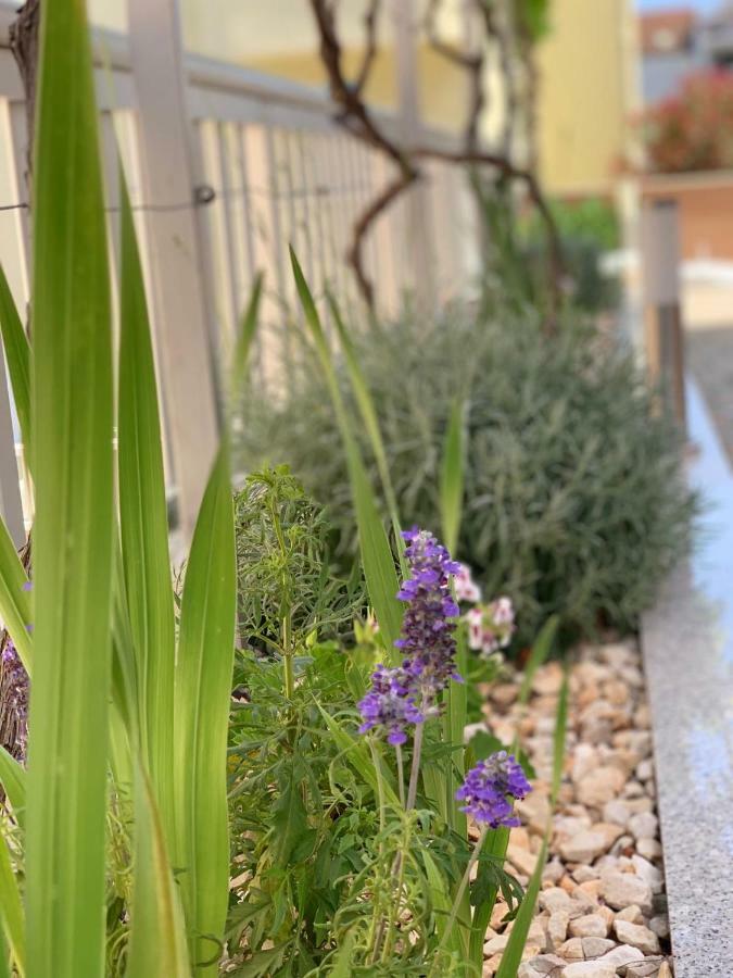 Apartments Villa Zica تروغير المظهر الخارجي الصورة